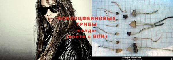 сатива Белая Калитва