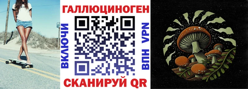 Купить  Вельск  Псилоцибиновые грибы Psilocybine cubensis 